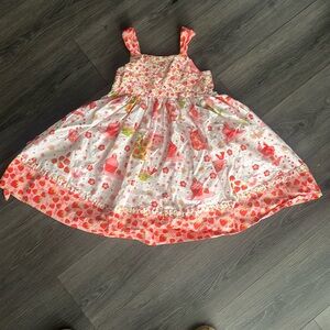 Size 6 Jelly the Pug Strawberry Shortcake dress